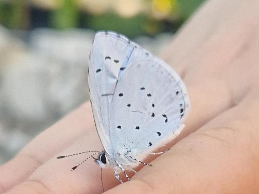 Appartamento Karibu Tiefenthal Esterno foto